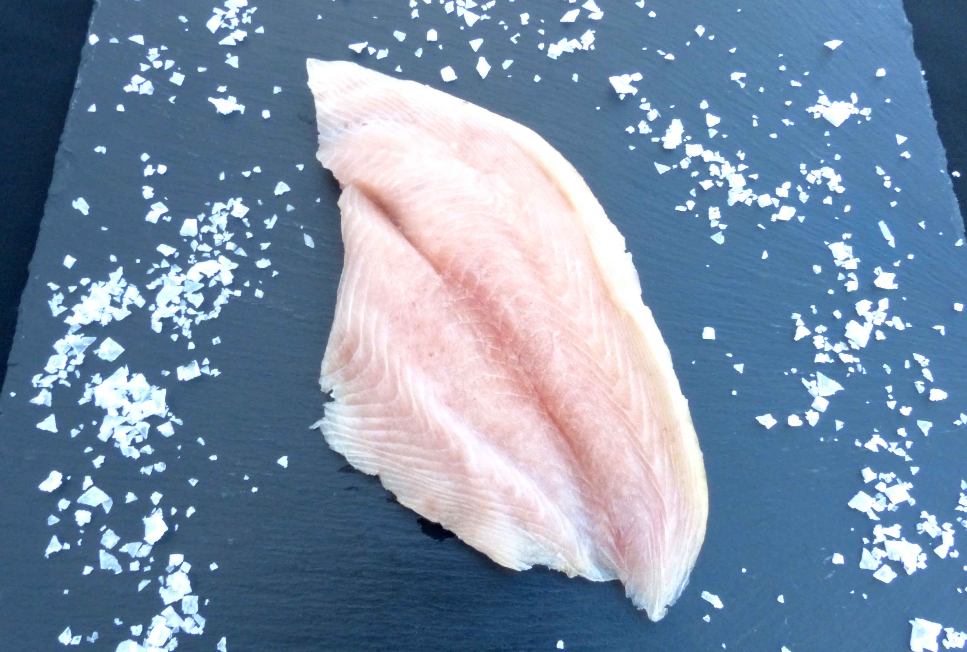 PALOMETA FILETE IQF 8KG