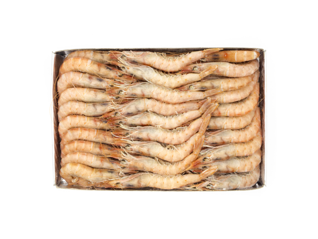 GAMBA FRESCA MG-EE PREMIUN 1KG