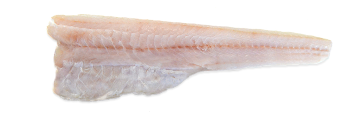 ROSADA FILETE NATURAL 1200/1800 10KG APX