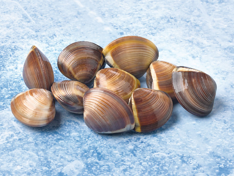 *ALMEJA MARRON 40/60 6X1KG