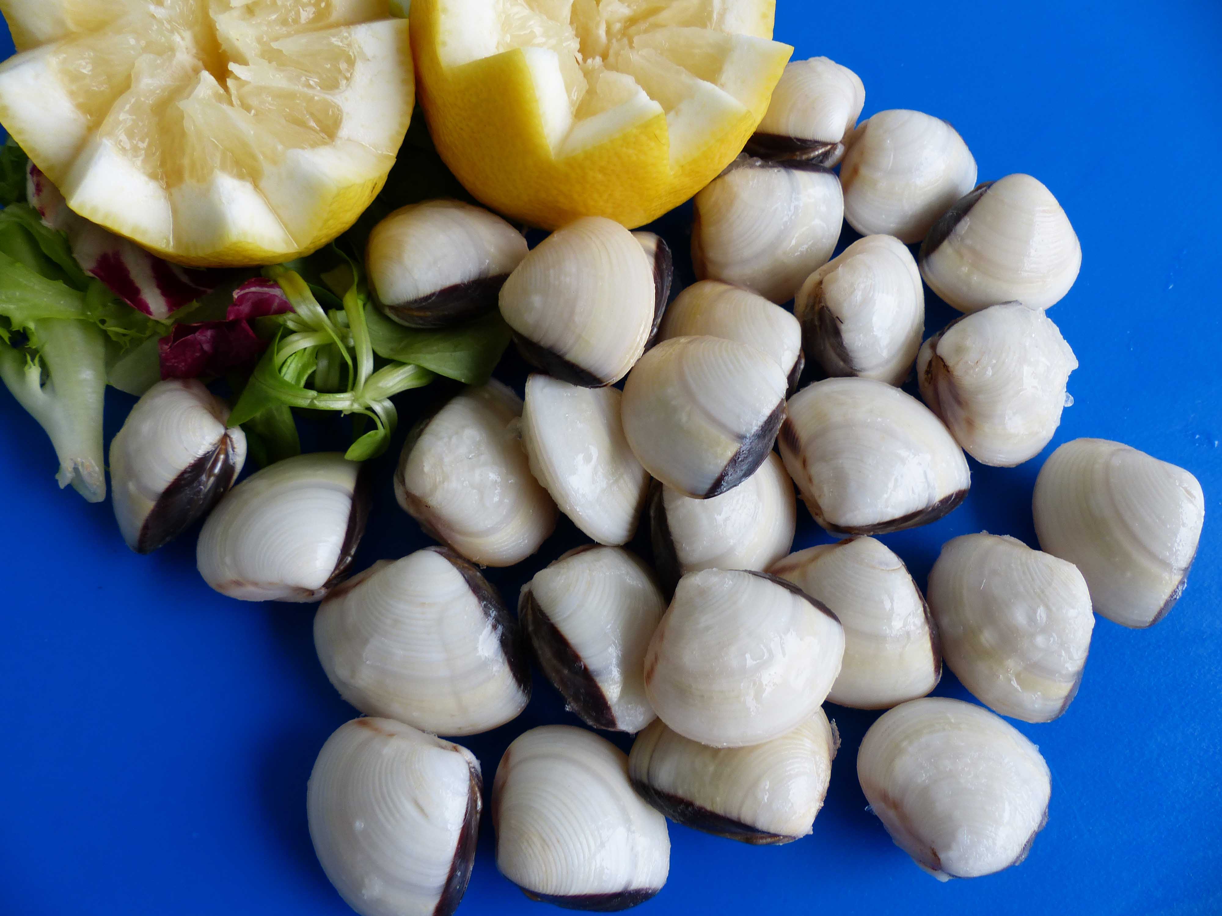 ALMEJA BLANCA 40/60 IQF 6X1KG