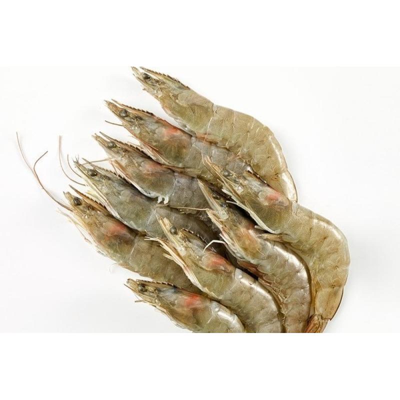 LANGOSTINO CRUDO VANNAMEI 20/30