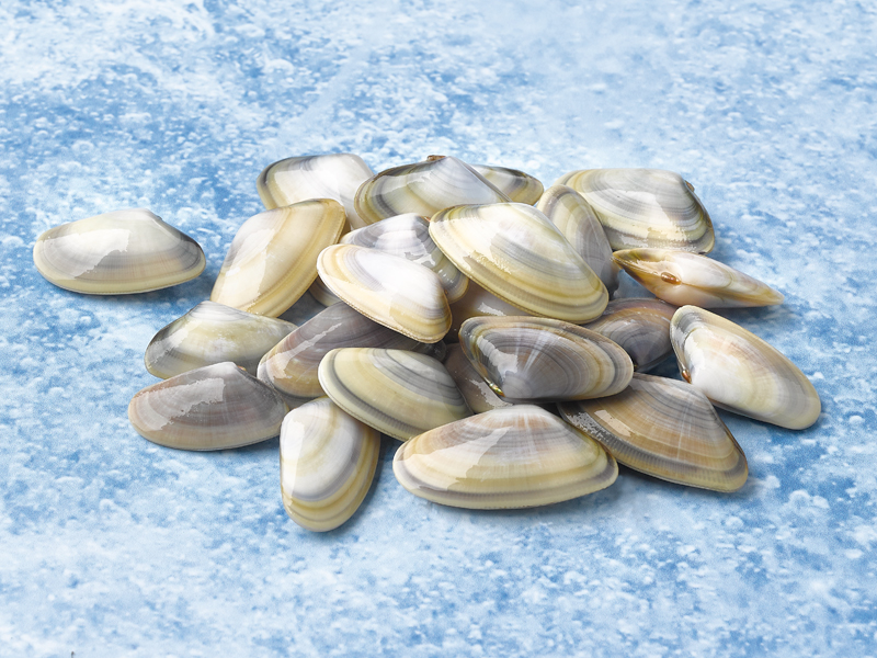 TELLINA "COQUINA" 12X250GRS EXKIMO