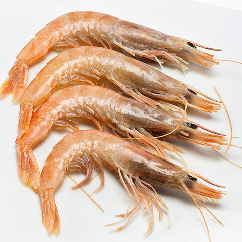 GAMBA GRIEGA Nº4 200+ 3KG