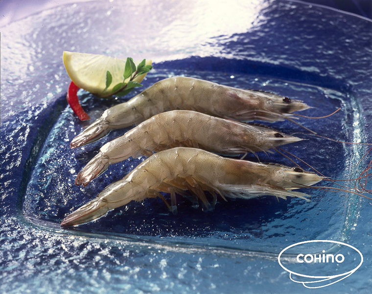 LANGOSTINO CRUDO VANNAMEI 30/40 700GR