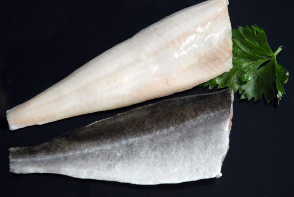 FLT. FOGONERO 500/1000  BORMARKET 11KG