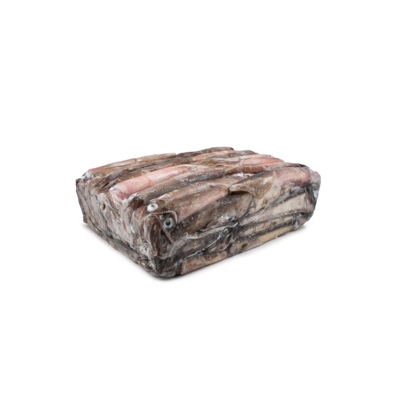 CALAMAR PATAG. 4LL  5KG APROX