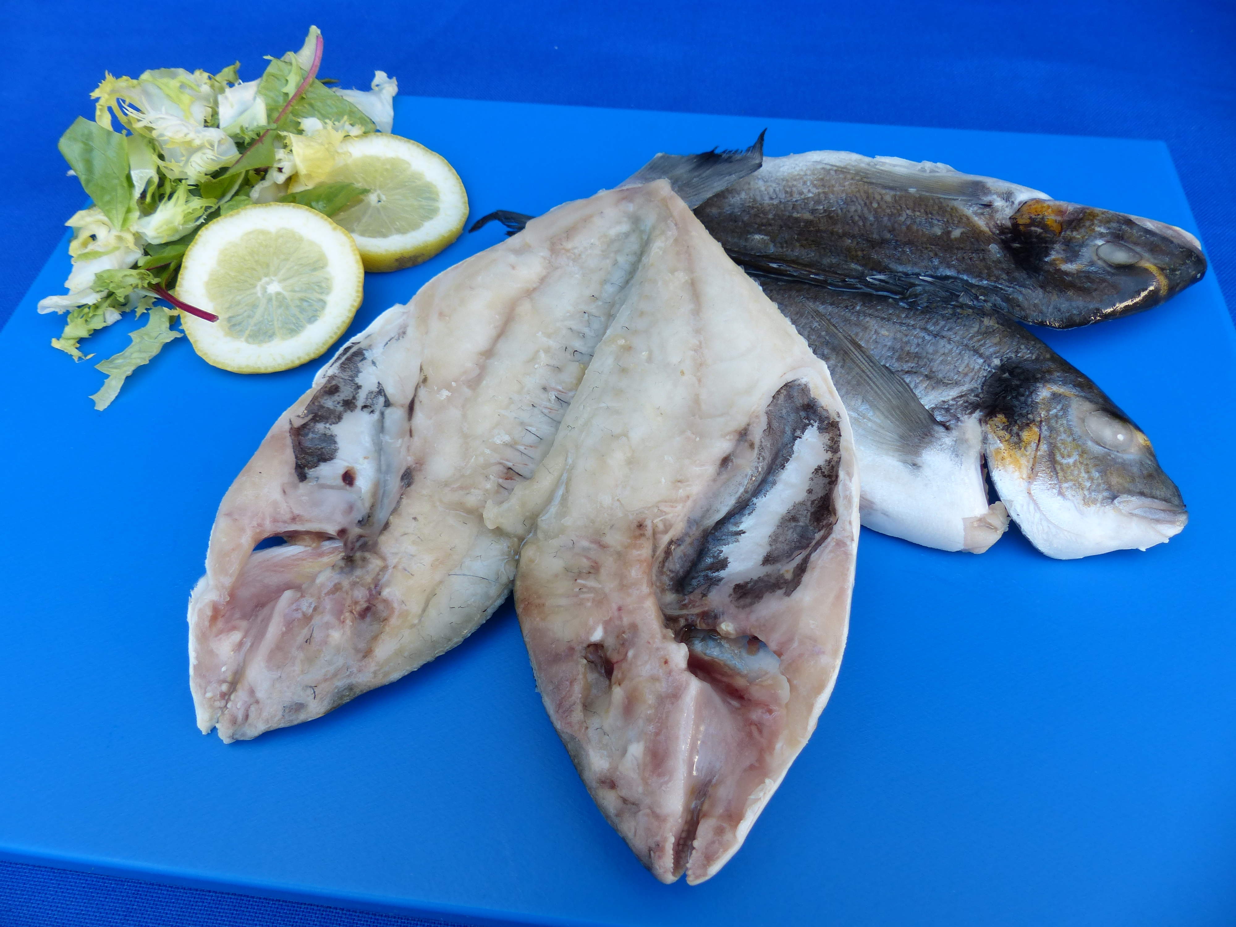 DORADA MARIPOSA 200/300 5KG