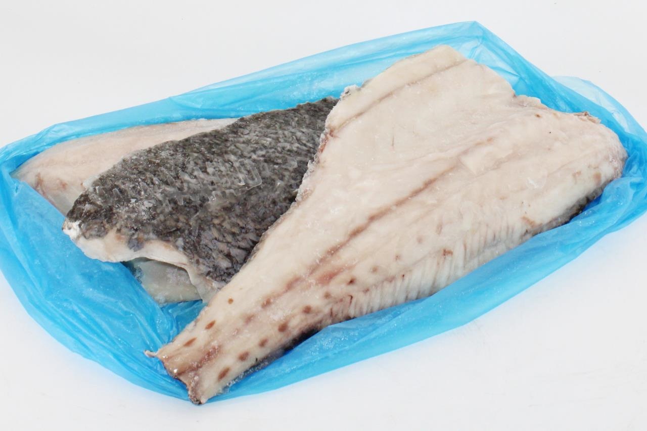 CORVINA FILETE C/P +1000 10KG