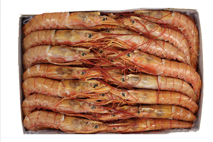 GAMBON L3 ARGENTINO 2KG