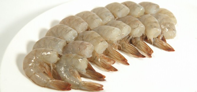 COLAS LANGOSTINO CRUDA 31/35 2KG
