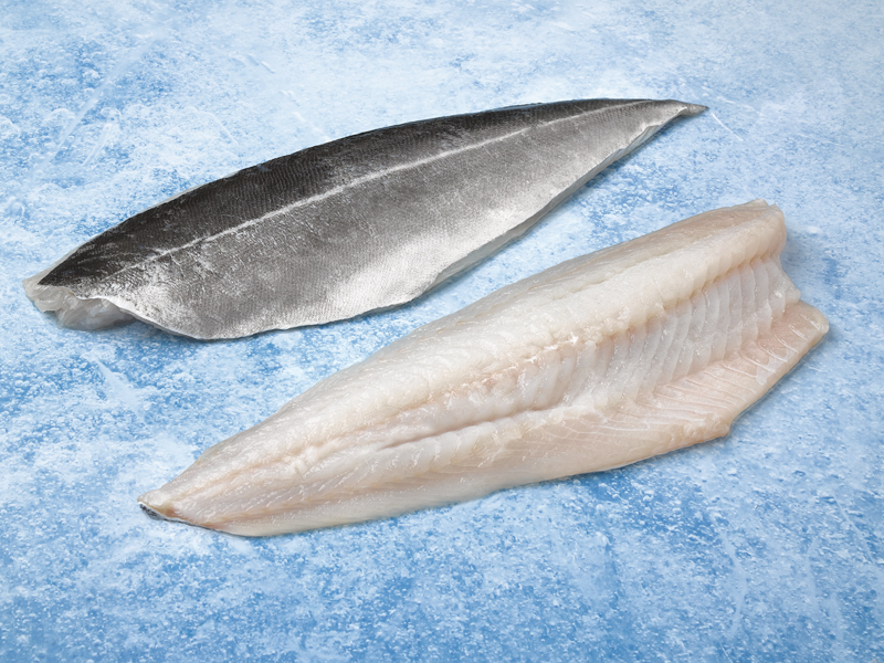 FILETE FOGONERO 500/1000 11KG ICELANDIC